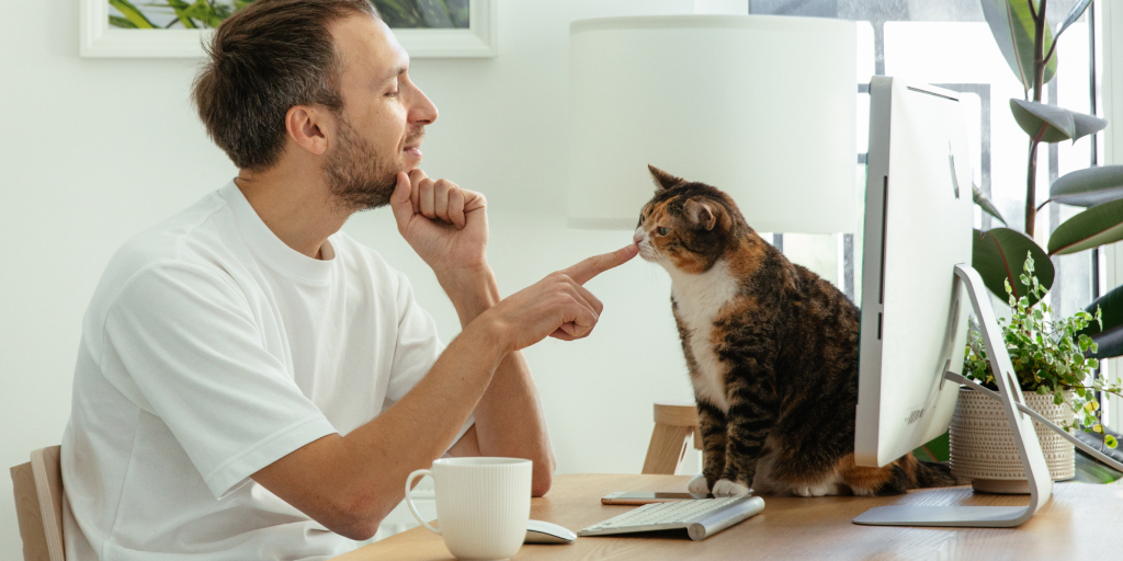 Avaliação de desempenho em home office: um guia para maior eficácia