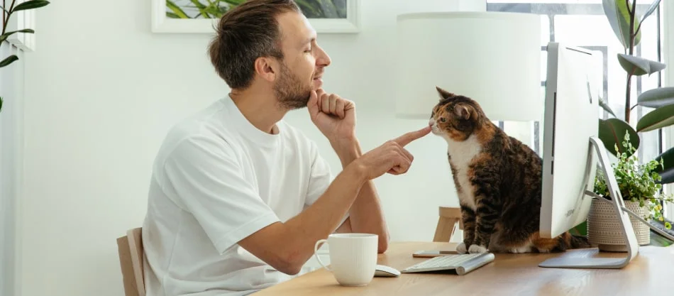 Avaliação de desempenho em home office: um guia para maior eficácia