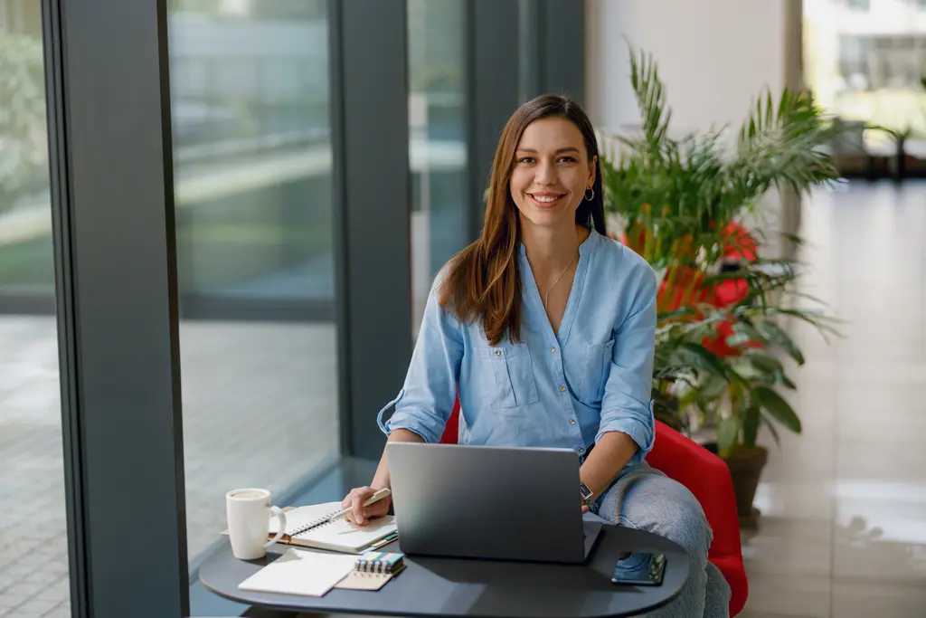 alternativas simples ao BambooHR